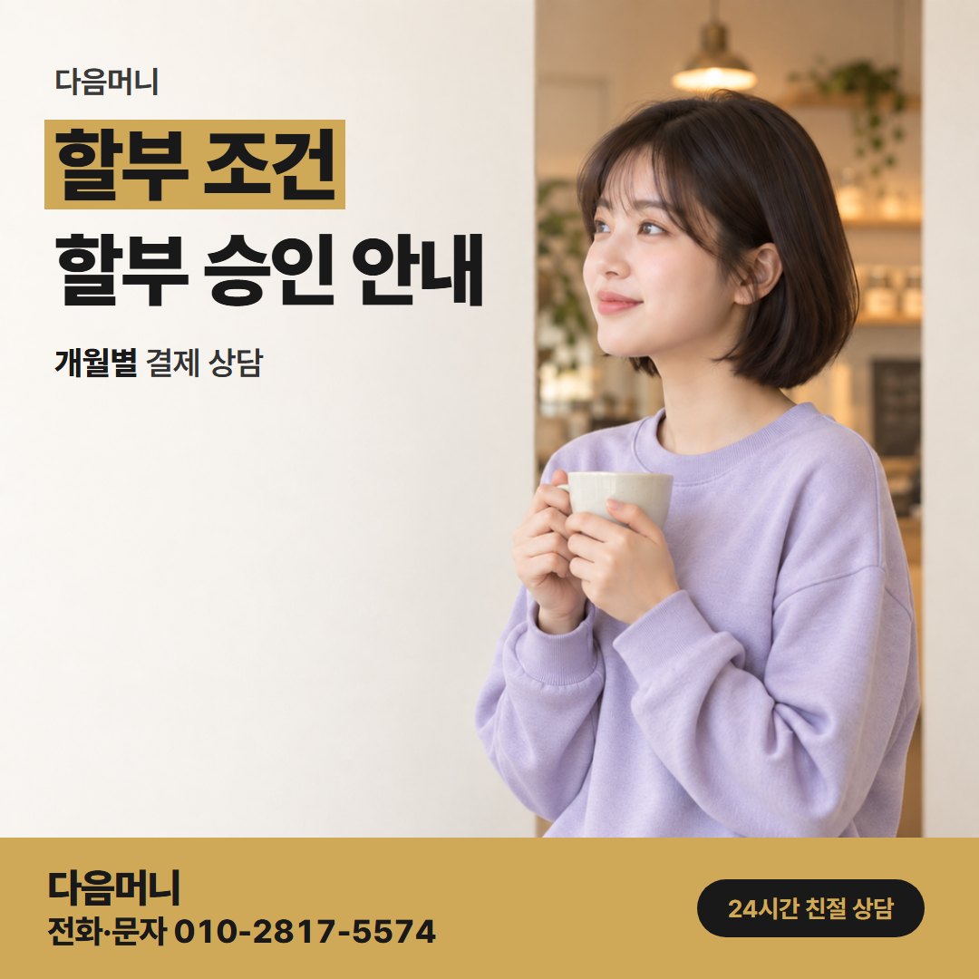 다음머니 롯데카드 카드깡 카드사가 정한 범위 안의 할부 개월